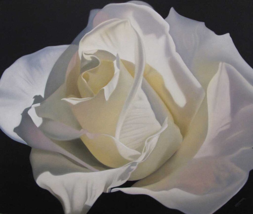 David Kerstetter's White Rose